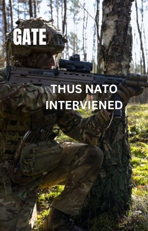 Gate: Thus NATO intervened by G0Western