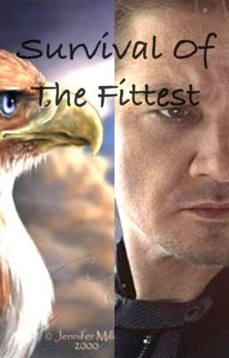 Survival Of the Fittest (Hawkeye Fanfiction) cover