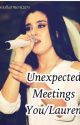 Unexpected Meetings (Lauren/You) by bossharmonizers