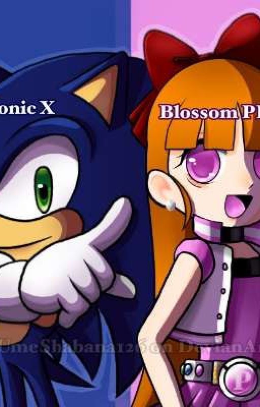 ppgz and sonicX x male reader  by ppgz3000