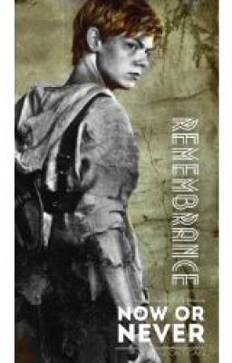 Remembrance (Newt X Reader) cover