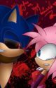 SonAmy Boom/EXE: Perfection is a name by NOVATheHedgehog14