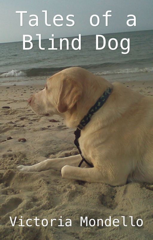 The Tales of a Blind Dog by ToriMondello