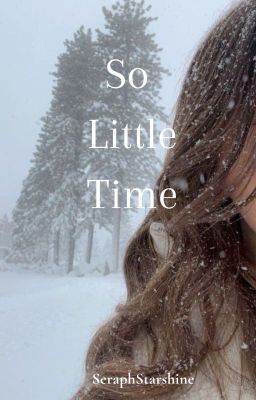 So Little Time (Frerard) cover