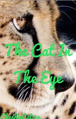 The Cat In The Eye cover