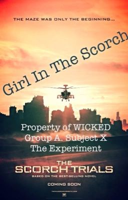 Girl In The Scorch (Newt X Reader Book 3) cover