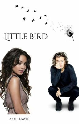 Little Bird cover