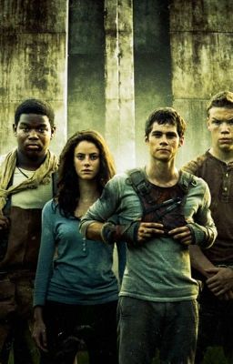 Maze Runner Preferences cover