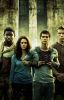 Maze Runner Preferences