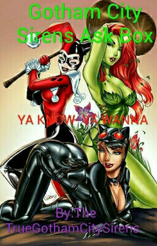 Gotham City Sirens Ask Box by TrueGothamCitySirens