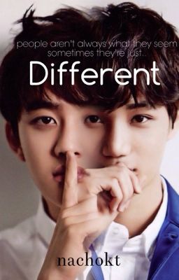 Different (Kaisoo Fanfic) cover