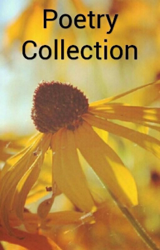 Poetry Collection by WeirdBabblesAndCats