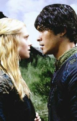 Let Me Love You: Book 1 (Bellarke) cover