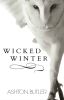 Wicked Winter Book. 1