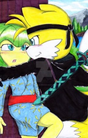 My Opinion's On Sonic Couples by Dwonderwriter0002