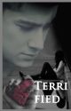 Terrified , a one direction thriller / love story by LittleStrawberry15