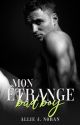 Mon étrange bad boy - Tome 1 by XaraLKaigan