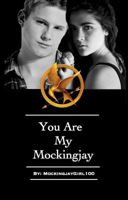 You Are My Mockingjay- Watty's Finalist 2013 cover