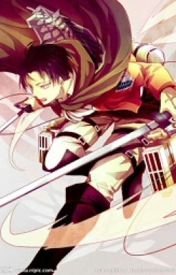 Levi X Reader cover