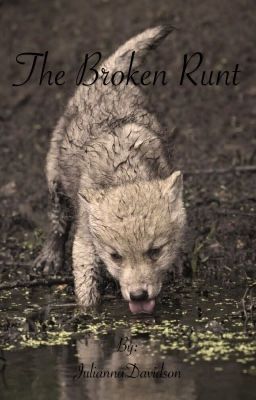 The Broken Runt cover