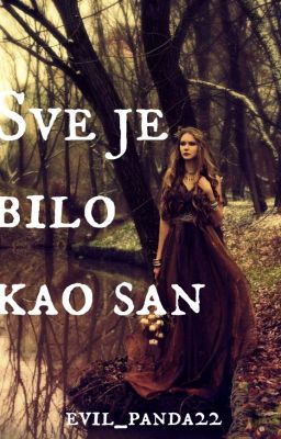 Sve je bilo kao san cover