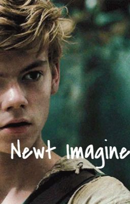 Newt Imagine cover