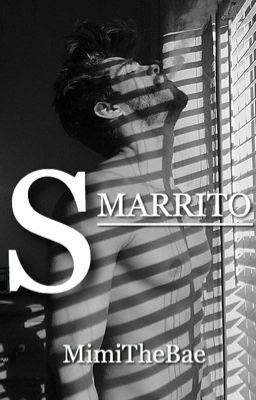 Smarrito { Book 1 } cover