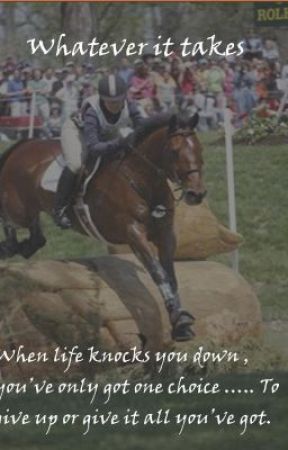 whatever it takes ~equestrian story~ by megansonador