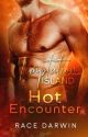 TEMPTATION ISLAND: Hot Encounter by RaceDarwin