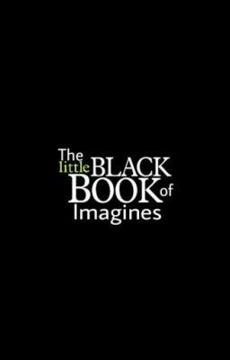 The Little Black Book of Imagines cover