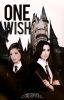 One Wish (Camren) (G!P)