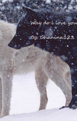 Why do I love you? (COMPLETED!!! In editing process) cover