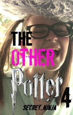 The Other Potter. Book Four. cover