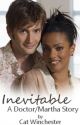 Inevitable: A Doctor Who Story by CatWinchester