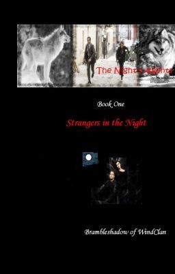 NCIS | The Night's Agents: Book 1: Strangers in the Night cover