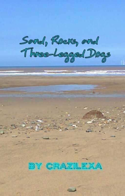 Sand, Rocks, and Three Legged Dogs by CraziLexa