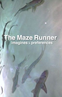 The Maze Runner ~ Imagines & Prefrences cover