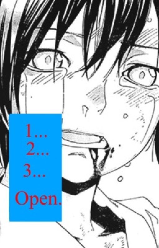 1 . . . 2 . . . 3 . . . Open. [Noragami One-Shot] by SmartRose14