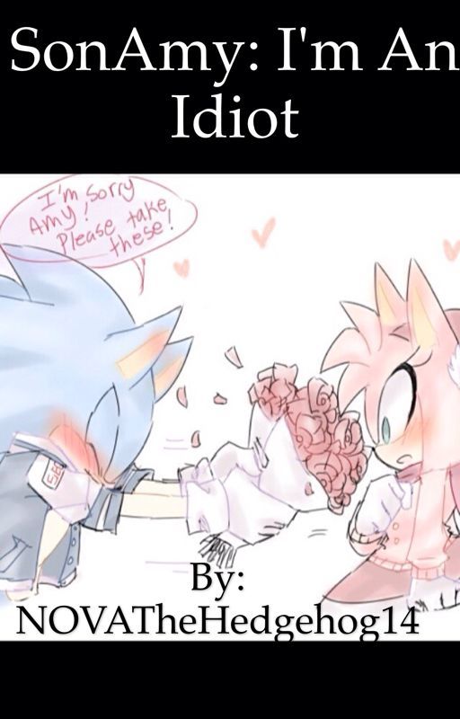 SonAmy: I'm An Idiot by NOVATheHedgehog14