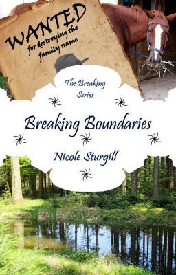 Breaking Boundaries (5th in Breaking Series) cover