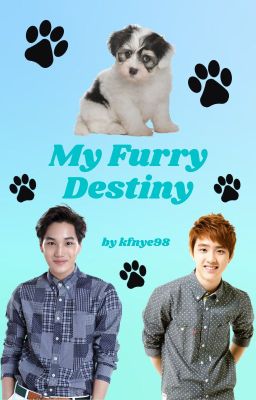 My Furry Destiny (A KaiSoo Fanfic) cover