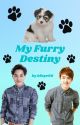 My Furry Destiny (A KaiSoo Fanfic) by kfnye98