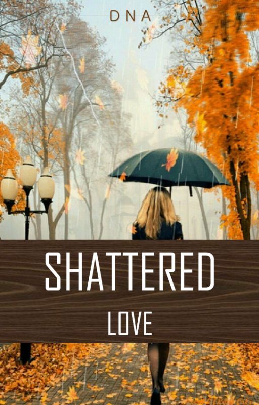 Shattered Love by AnonAcid