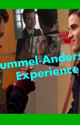 Hummel-Anderson Experience cover