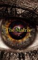 The Matrix ( A Doctor Who Fanfiction) by Fanatic_Squared