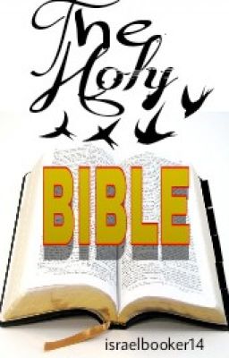 Big Book of Bible Question cover