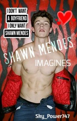 Shawn Mendes Imagines [COMPLETED] cover