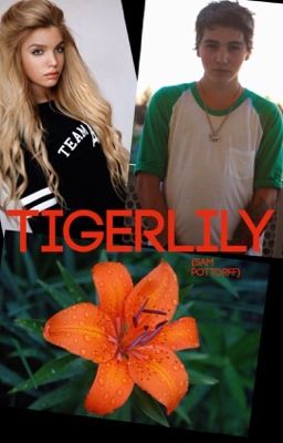 Tigerlily (Book Two of the Take Me Home series) cover