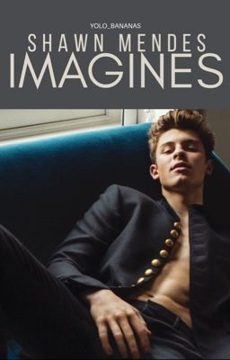 Shawn Mendes Imagines cover