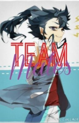 Team mates | A Tsurugi Kyousuke/Inazuma Eleven Go/Go: Galaxy Fan Fiction cover